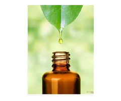 Best Ayurvedic clinic in Sydney