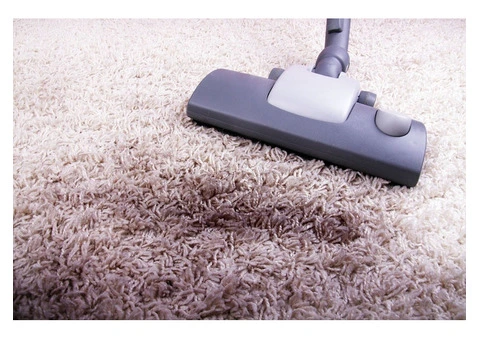 Back 2 Life Carpet Cleaning Brisbane - 2/5