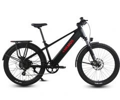 2 Seater Electric Bike