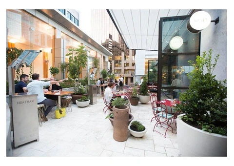 Luxury Outdoor Living with a Retractable Canopy for Pergola - 2/4