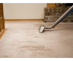 Wayne’s Carpet Cleaning