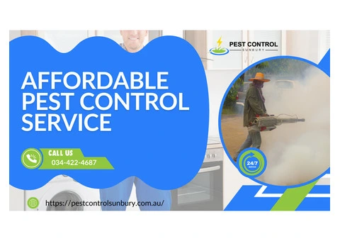 Say Goodbye to Pests – Trusted Pest Control in Sunbury