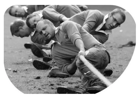 Financial Advisor Sunshine Coast