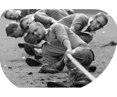 Financial Advisor Sunshine Coast