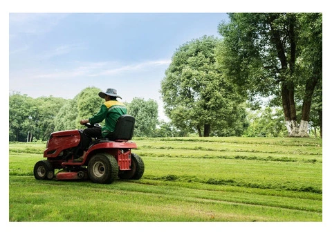 Tired of Mowing Your Lawn? Let Us Handle It!