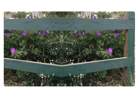 Experience Quiet, Efficient Mowing Service with Expert Lawn Care Solutions