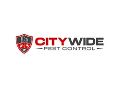 City Wide Bee Removal Brisbane