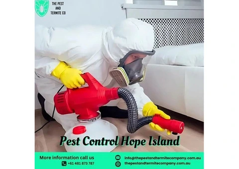 Reliable Pest Control Services in Hope Island – Safe & Effective Solutions
