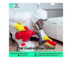 Reliable Pest Control Services in Hope Island – Safe & Effective Solutions