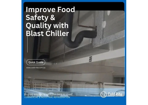 Commercial Blast Chiller The Secret to Longer-Lasting Freshness
