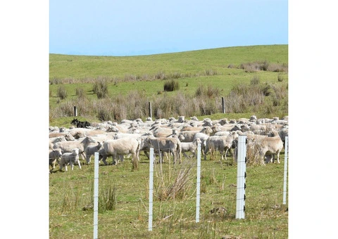 Low Maintenance PVC Fencing for Tough Australian Conditions