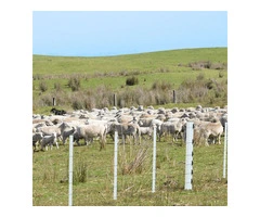 Low Maintenance PVC Fencing for Tough Australian Conditions