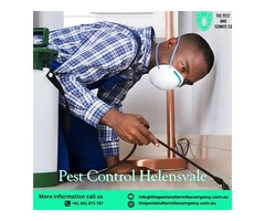 Expert Pest Control Services in Helensvale – Safe & Reliable Solutions