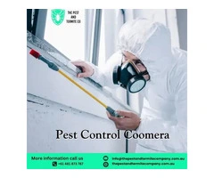 Expert Pest Control Services in Coomera – Safe, Reliable & Affordable Solutions