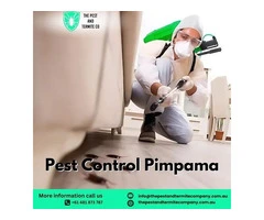 Professional Pest Control in Pimpama – Safe, Effective & Affordable Solutions