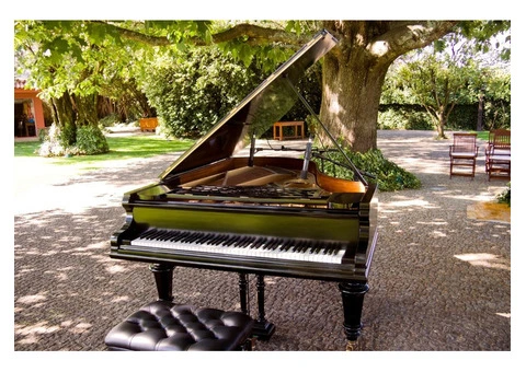 Piano Removalists Sydney Cost - 3/6