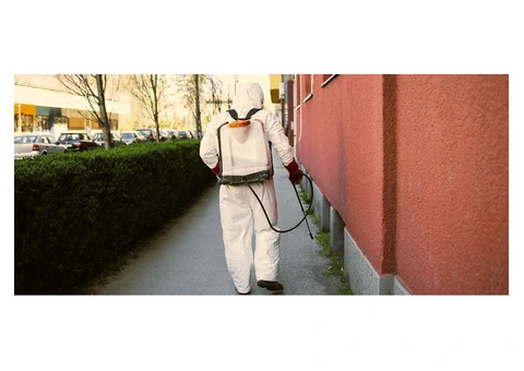 Moving Out Made Easy With End Of Lease Flea Treatment in Melbourne