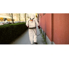 Moving Out Made Easy With End Of Lease Flea Treatment in Melbourne