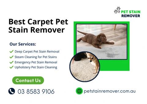 Best Carpet Pet Stain Remover | Deep & Eco-Friendly Cleaning