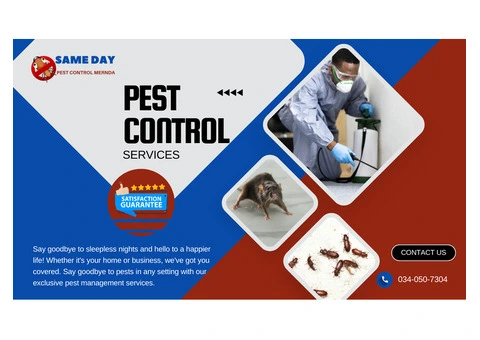 Fast & Affordable Pest Control Services in Mernda Call Now