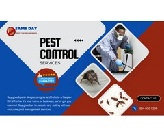 Fast & Affordable Pest Control Services in Mernda Call Now