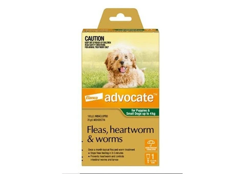 Advocate For Small Dogs up to 4 kg