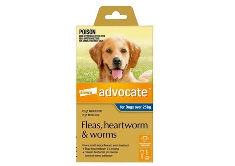 Advocate For Extra Large Dogs Over 25 Kg