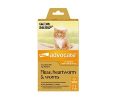 Advocate For Kittens and Small Cats Up To 4Kg