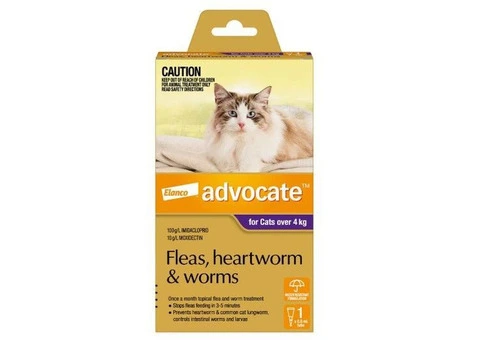 Advocate For Cats Over 4Kg