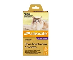 Advocate For Cats Over 4Kg