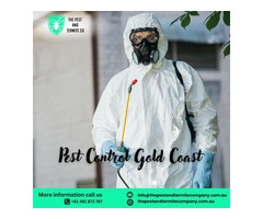 Expert Pest Control Services in Gold Coast – Safe & Effective Solutions