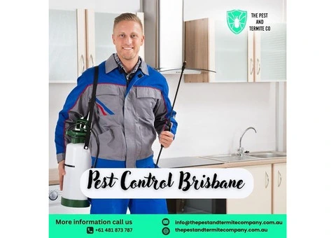 Professional Pest Control Service in Brisbane – Safe & Effective Solutions