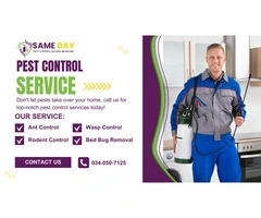 Protect Your Home with Expert Pest Control Altona Meadows Services