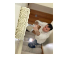 Reliable Painters Doncaster – Affordable & Professional!