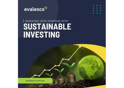 Investors and Sustainability