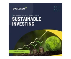 Investors and Sustainability
