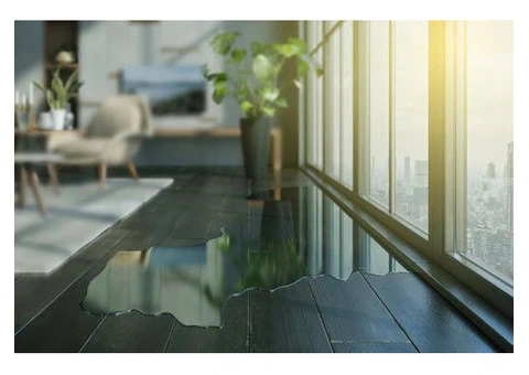 Back 2 Life Flood Damage Restoration Melbourne