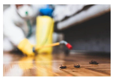 OZ Cockroach Control Brisbane