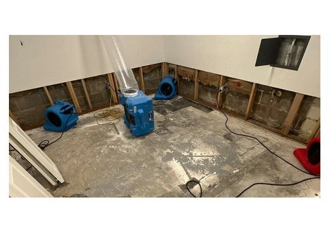 Back 2 Life Water Damage Restoration Brisbane
