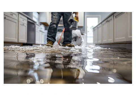 Back 2 Life Water Damage Restoration Brisbane - 2/2