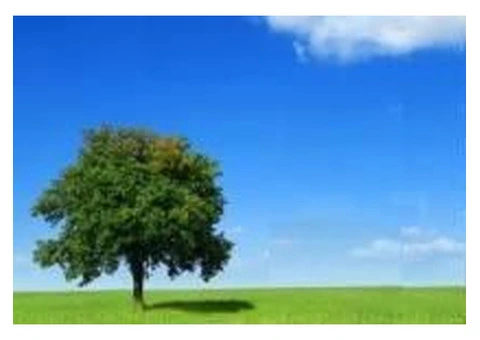 Strengthen Your Relationship with Expert Counselors in Sydney CBD