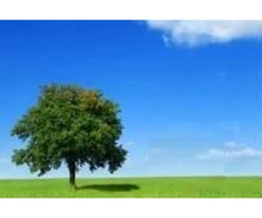 Strengthen Your Relationship with Expert Counselors in Sydney CBD