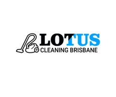 Lotus Carpet Repair Brisbane