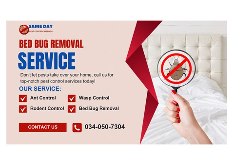 No More Bites! Get Bed Bug-Free with Pest Control Mernda