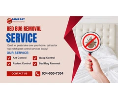 No More Bites! Get Bed Bug-Free with Pest Control Mernda
