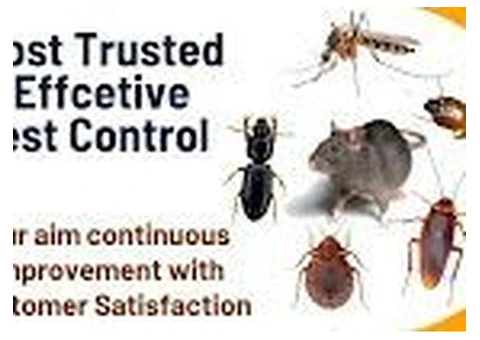 Snake Control or Catcher Experts in Kurnool || Star Pest Control