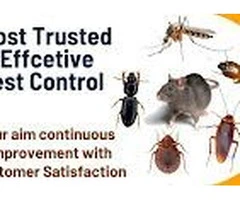 Snake Control or Catcher Experts in Kurnool || Star Pest Control
