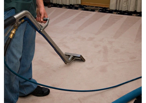 Castle Hill Carpet Cleaning Nova