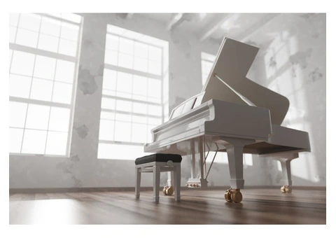 Expert Local Grand Piano Removalists - 1/7