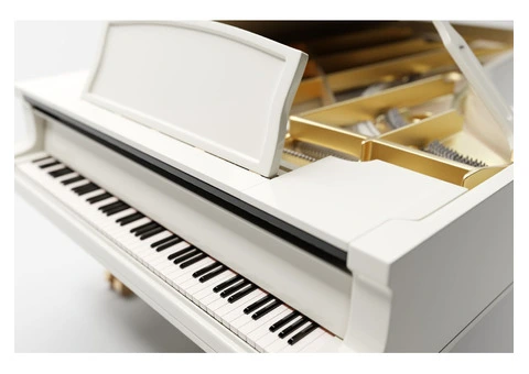 Expert Local Grand Piano Removalists - 2/7